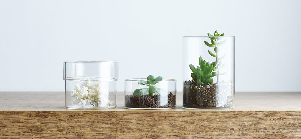Beyond Water: 3 Unexpected Ways to Use Your Beautiful Carafe