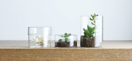 Beyond Water: 3 Unexpected Ways to Use Your Beautiful Carafe