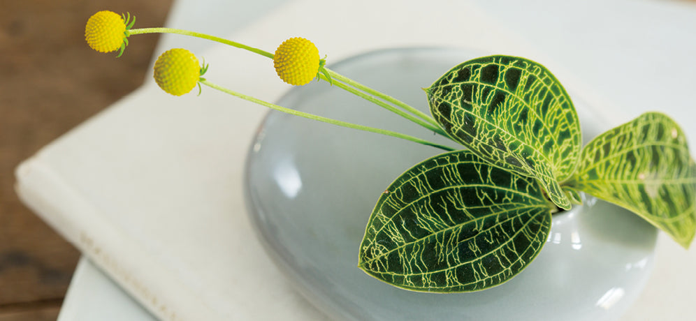 SACCO vase porcelain 01